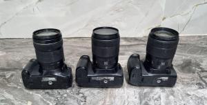 stock