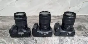 stock