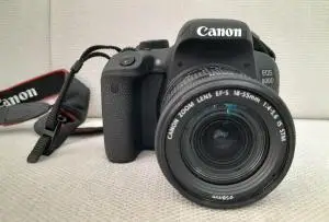 stock