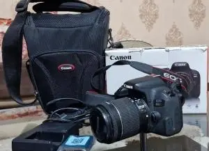 stock