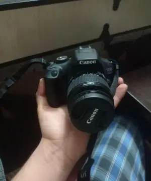 stock