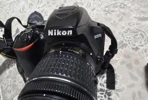 stock
