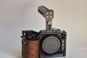 stock