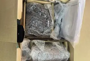 stock