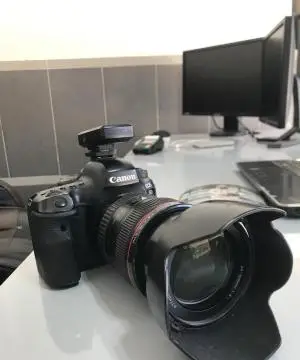 stock