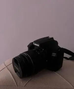 stock