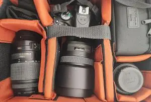 stock
