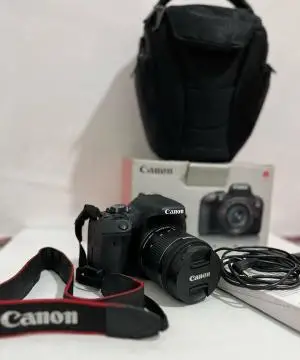 stock