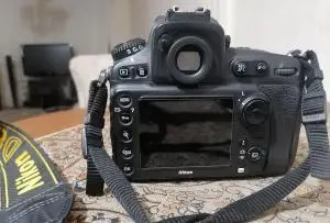 stock