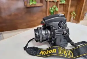 stock