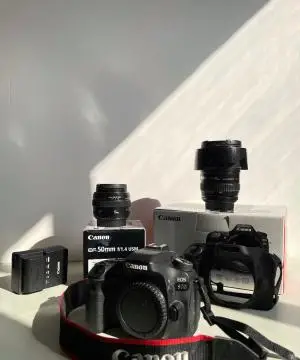 stock