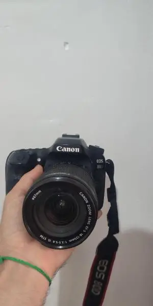 stock