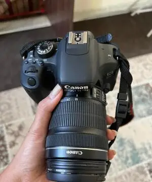 stock
