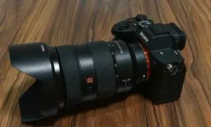 stock