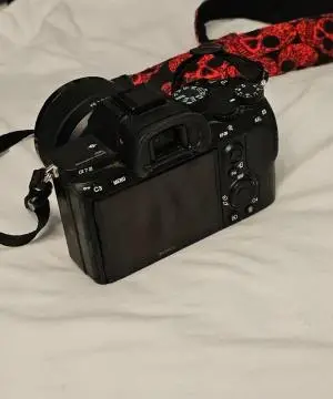 stock