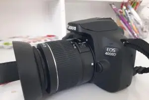 stock