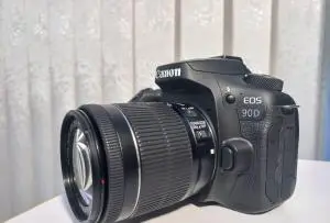 stock