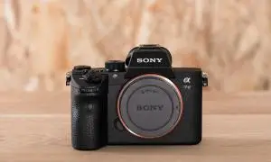 stock