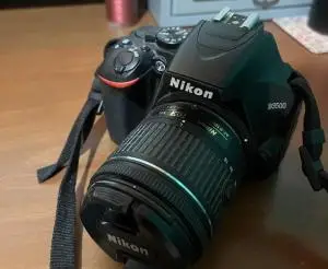 stock
