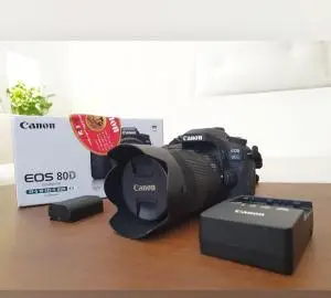 stock