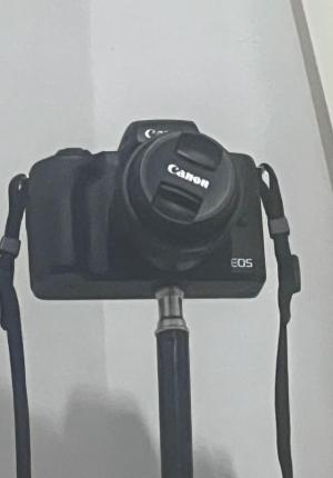 stock