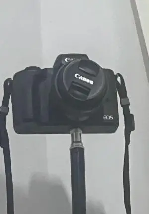stock