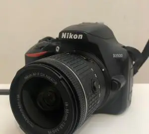 stock