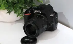 stock