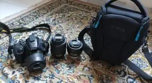 stock