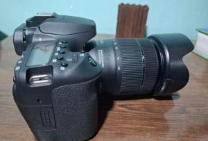 stock