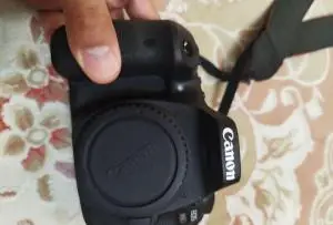 stock