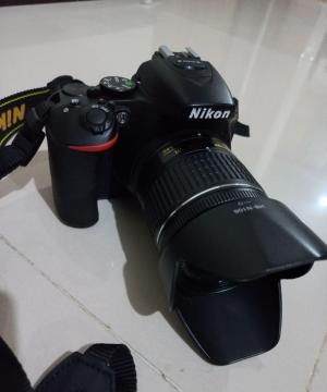 stock