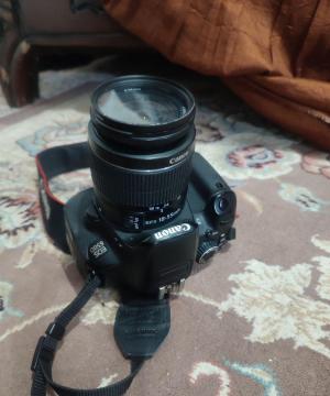 stock