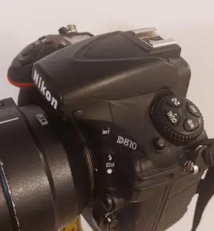 stock