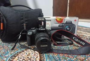 stock