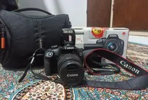 stock