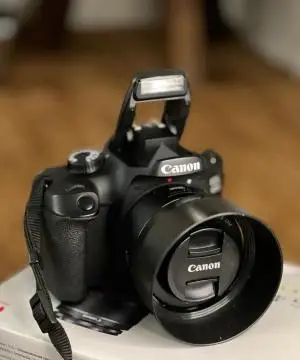 stock
