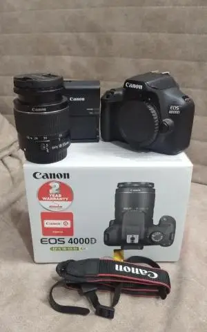 stock