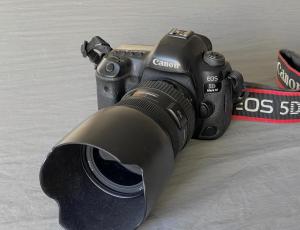 stock