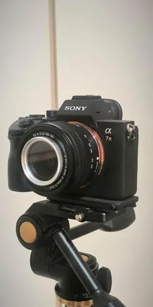 stock