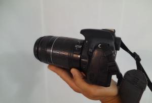 stock