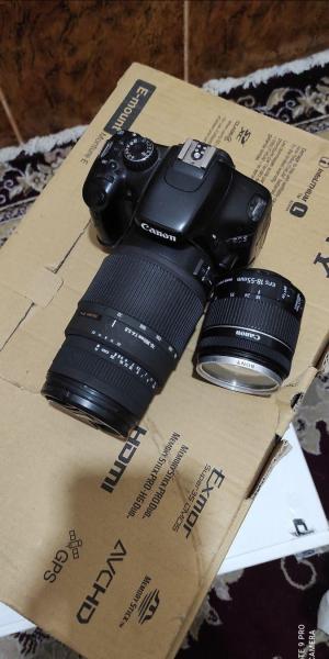 stock
