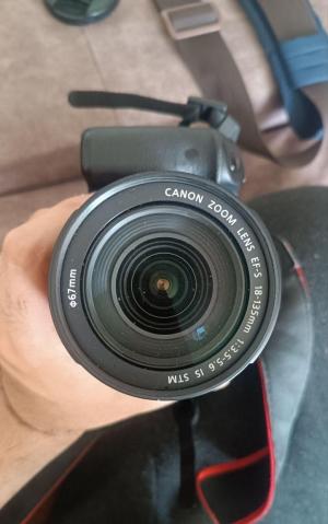 stock