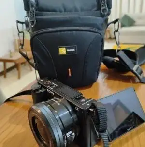 stock