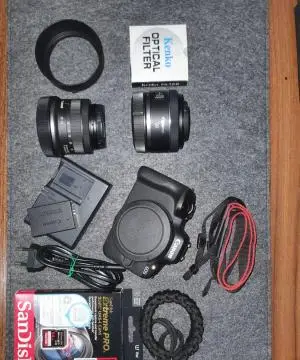 stock