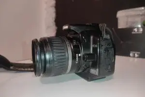 stock