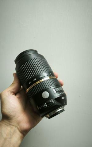 stock