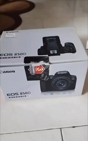 stock