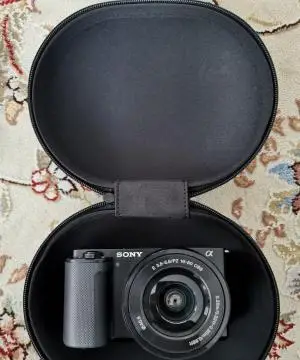 stock