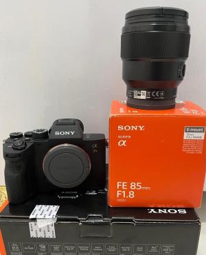 stock